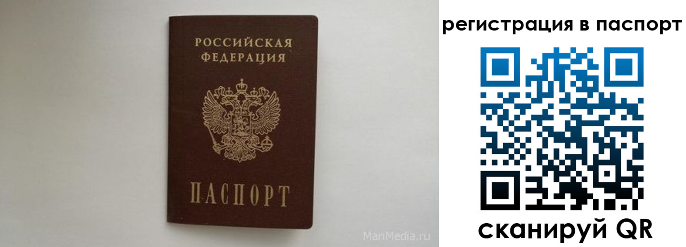 прописка в Алейске